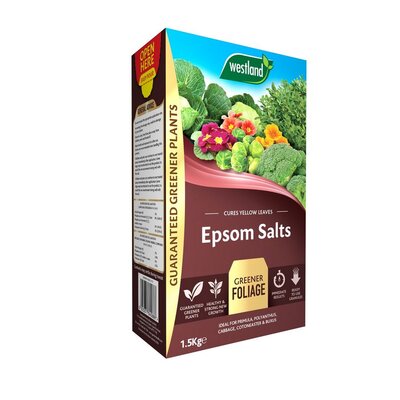 EPSON SALTS 1.5KG